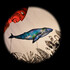 La Baleine Tatouée - Cie du Bonjour
