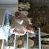 Cours de Sculpture sur pierre et modelage