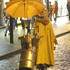 Eléonore d'Automne - Conteuse de rues, grilleuse de marrons - Image 5
