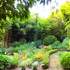 Jardin les Bambous de Planbuisson - Image 4