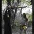 Clowns dans la sciure - Echassier, clown, cracheur feu, jongleur, etc.. - Image 26