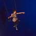 Levy y Marlène, Le nid des arts FR - Artiste de cirque - Image 5