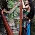 LAWENA de Brocéliande harpe celtique & chants traditionnels - Image 4