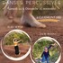 Stage de Danses Percussives