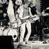 Sam Willcox Blues Band - Pour vos concerts lives  - Image 2