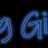 Swing Gigolos - Duo Jazz Swing | CONCERT & ANIMATION | Guitare & Chant  - Image 2