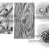 Créasentiel  - Cours de DESSIN (individuel) , INFOGRAPHIE, Arts Appliqués DESIGN - Image 13