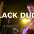 Black Duck - folk rock