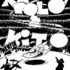 Les clowns Polo & Kito - L'extra-terrestre - Image 3