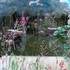 Stage CREATION SUR VERRE  - Image 16