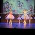 Ecole de danse Armelle Monjarret - Studio de la Danse - Image 33