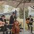 Syscat Swing - Trio instrumental swing « manouche » 