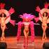 Music Hall Avenue  - Revue Music-Hall itinérante - Image 10