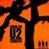 Looking For U2  - Tribute U2