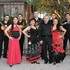 Gipsy flamenco fiesta gipsies musica nina de fuego