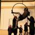 Cie Fabigan - ATELIER CIRQUE ENFANTS/ADULTES
