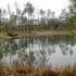 Lagunes de Nabias