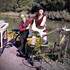 Yestoday - DÉAMBULATION MUSICALE Piano-Vélo  - Image 8