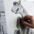 Christian GROSSE - Cours particuliers de Dessin - Image 4
