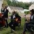 Swing & Jazz 45 - Plusieurs groupes: Swing Manouche, New-Orleans, Jazz, Rock - Image 7
