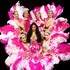 CIE FANTASMAGIC - Shows revues Cabaret Parisien, Exotique, Années 80