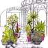 Terre & Feu Maisons-Laffitte  - Formation Intensive Dessin 