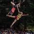 Compagnie Circlips - Eclats de Vies - Image 3