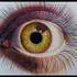 Cours de Dessin Loisirs Cours Galerie Etre