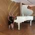 Viktoria Bonzom  - Cours de piano tous niveaux, styles, âges 