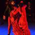 Al Andalus Flamenco Nuevo - École de danse flamenco, salsa, bachata ... - Image 4