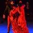 Al Andalus Flamenco Nuevo - École de danse flamenco, salsa, bachata ... - Image 4