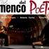 Compagnie Fiona Petot  - "Flamenco del Poeta"