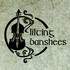 Lilting Banshees - Duo ou Quatuor musique celtique irlandaise & bretonne