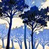 Timotei - Cours de Peinture - Dessin