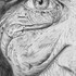 École RB-Arts - Cours de portrait en dessin et peinture pour ado et adulte - Image 20