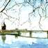 Cours de dessin et de peinture