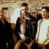 Daelwin, Groupe rock, Tarn et garonne