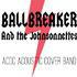 Ballbreaker And The Johnsonnettes - Tribute acoustique AC/DC - Image 2
