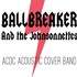 Ballbreaker And The Johnsonnettes - Tribute acoustique AC/DC - Image 2