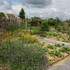 Conservatoire des Légumes Anciens du Béarn