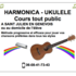 Rinaldo - Harmonica - Ukulélé : Cours tout public
