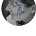 la marchande de couleurs -  maquillage artistique - déambulation et fixe  - Image 9