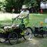 Compagnie du Triporteur - Olivier, le petit jardinier - Image 2