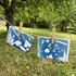 Mardi de Lupuline « Rencontre du cyanotype » - Image 2