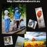 Atelier Nathalie Sabourin - Cours, stages, et exposition de peinture