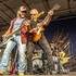 Sam Willcox Blues Band - Pour vos concerts lives  - Image 3