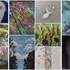 Atelier d'art de Carole Collaudin - Atelier artistique Castillon et chez l'habitant