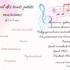chant et musique Guipry Messac - Cours de chant . Piano . Guitare  - Image 3