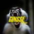 GINSSE - Duo World-Punk