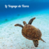Conte musical Le Voyage de Teora - Ecologie, Cycles de la vie, Voyage